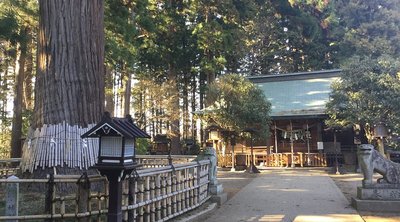 ⛩️ 히다카 신사 (히타카 진자)